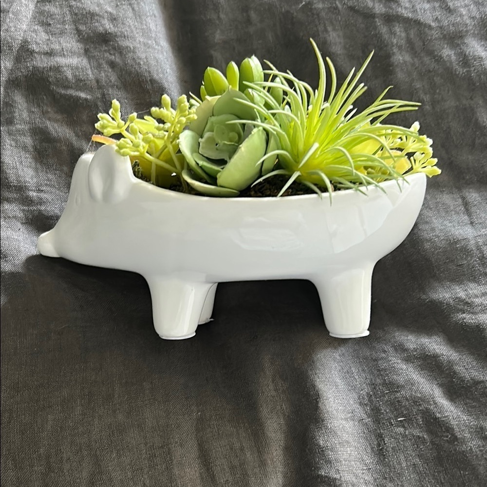 Hedge Hog Planter with Green Succulents - Picture 2 of 5